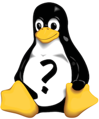 The Linux penguin.